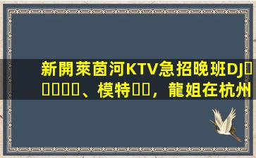 新開萊茵河KTV急招晚班DJ、模特，龍姐在杭州帶你上班